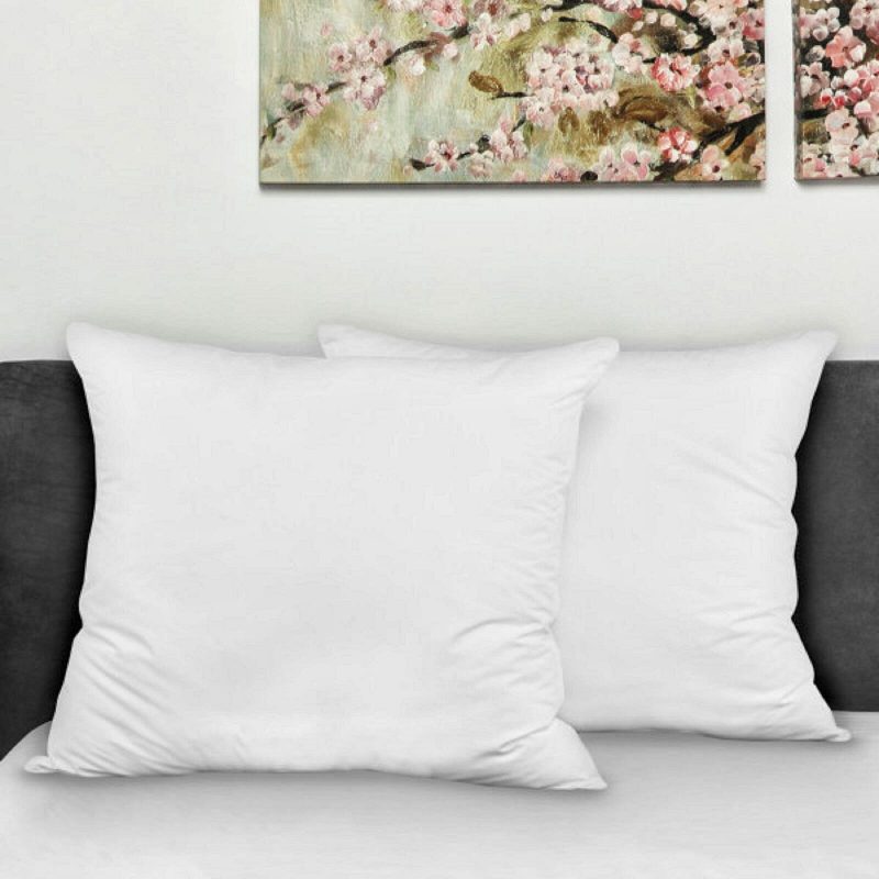 Best Bed Pillow Ideas-Natural Euro Polyfill Pillows by Alwyn Home